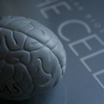 Renewing your Mind