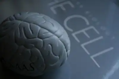 Renewing your Mind