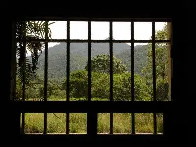 Renewing the Mind: I can be Free