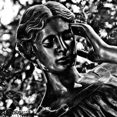 Freedom from Fear: Recognizing the Lies